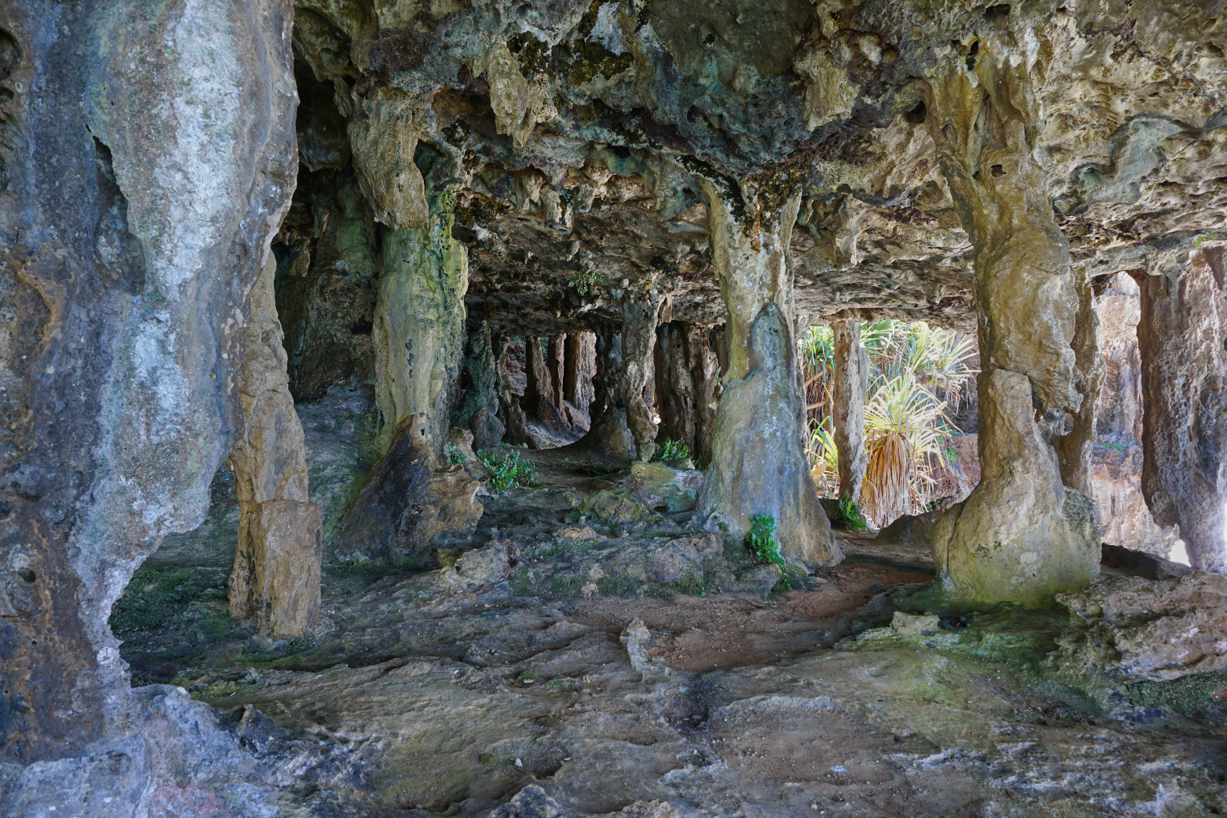 rurutu, austral islands (2).webp
